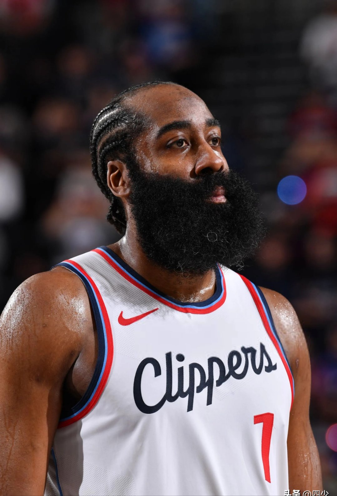 od体育馆-包含哈登本赛季场均得分再创新高！成为联盟得分王的热门人选！的词条